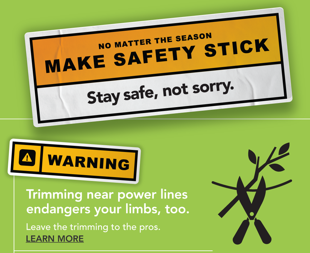 No matter what the season, make safety stick. Better safe than sorry. Number 1 Warning: Trimming near power lines endangers your limbs too. Leave trimming to the pros.