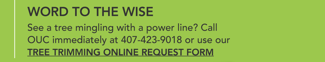 Word to the Wise. See a tree mingling with a power line? Call OUC immediatey at 407-423-9018 or use our tree trimming online request form.