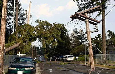 An Orlando neighborhood where a tree fell and damaged a power line.