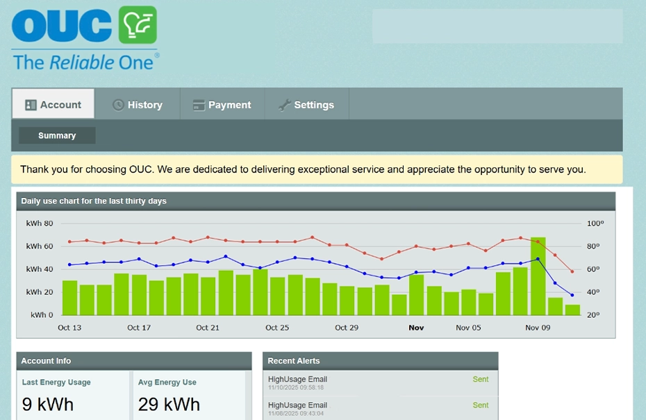 Access a Quick View of Your Usage